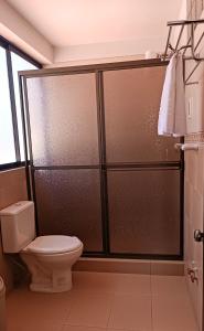 拉巴斯雅莉格丝酒店的一间带卫生间和淋浴的浴室
