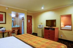帕罗奥多帕尔马尼酒店的配有一张床和一台平面电视的酒店客房