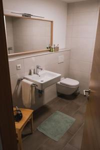 费尔德伯格Apartment Luise - direkt an der Skipiste - mit Sauna的一间带水槽、卫生间和镜子的浴室