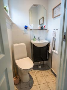 托尔斯港Marna Guesthause doubleroom nr.1的一间带卫生间和水槽的浴室