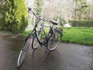 泽德尔海姆THE FACTORY, retreat near Bruges的停在公园人行道上的自行车