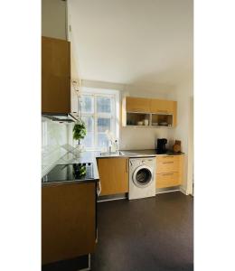 哥本哈根ApartmentInCopenhagen Apartment 1514的厨房配有水槽和洗衣机