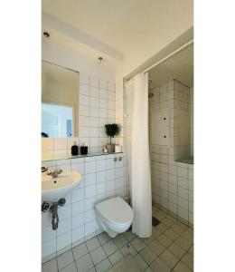 哥本哈根ApartmentInCopenhagen Apartment 1514的一间带卫生间和水槽的浴室