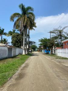伯迪亚哥Casa em Bertioga condomínio 250 metros da praia的一条空的中间道路,中间有棕榈树