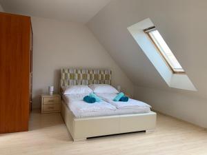 什切青Apartamenty Staromłyńska的一间卧室配有一张带蓝色枕头的床。