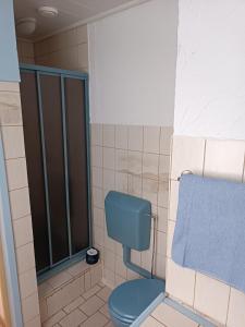 阿尔特瑙Haus Bindseil - Ferienwohnung im EG, rechts的浴室配有蓝色卫生间和淋浴。
