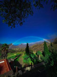 克鲁兹·德·特赫达Mountain Hostel Finca La Isa的棕榈树田上空的彩虹