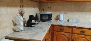 Rossio ao Sul do TejoQuina'sHouse的厨房配有带微波炉的台面