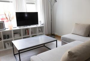 赫尔辛基2ndhomes Bright 1BR Apartment with Superb Location!的客厅配有电视、沙发和茶几