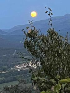 Cabezas BajasApartamento rural El Pastor es un estudio con gran ventanal a Gredos的月亮山顶上的植物