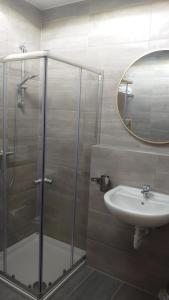 美因茨Maxim Apartments Mainz的带淋浴、盥洗盆和镜子的浴室