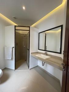瓦哈卡市圣埃伦娜广场酒店的一间带水槽、淋浴和镜子的浴室