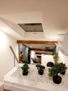 布里维奥Luxury Room La Terrazza sul Lago di Como的柜台上的厨房,有四种盆栽植物