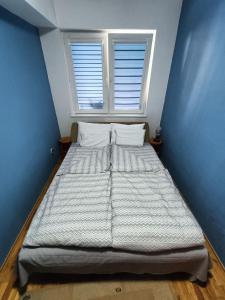 斯科普里apartment24的蓝色客房的一张大床,设有窗户