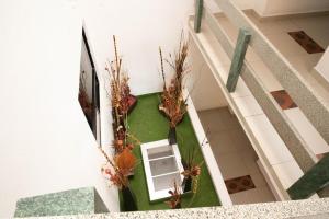 墨西哥城Hotel Rossel Plaza的绿地上的植物楼梯