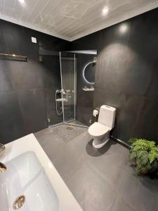 高尔Bualie Golsfjellet的浴室配有卫生间、淋浴和盥洗盆。