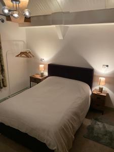 LlandinamThe Shack plus Camping的一间卧室配有一张带2个床头柜和2盏灯的床。