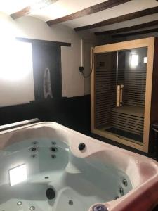 FloreffeCasa Wellness Floreffe jacuzzi的带浴缸的浴室和窗户