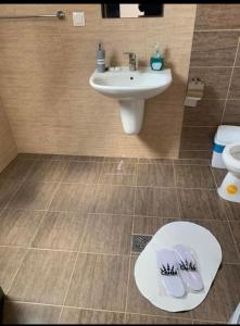 莫伊西德约斯Elitegasthaus Moieciu A的浴室配有水槽、卫生间和白色水槽。