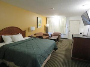 埃尔科雷鸟汽车旅馆 的酒店客房设有床和客厅。