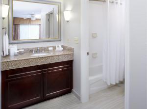 夏洛特Trellis Lake Pointe的一间带水槽、镜子和淋浴的浴室