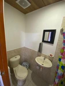 洛斯纳兰霍斯Hostal Cristal的一间带卫生间和水槽的浴室