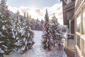 惠斯勒The best ski in ski out two bedroom condo at Aspens的阳台享有雪覆盖的树木的景致。
