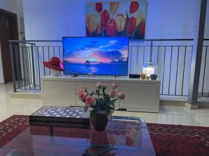 耶路撒冷Gorgeous duplex in heart of Jerusalem的客厅配有电视和花瓶