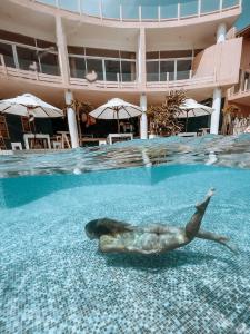 平谷Belika Beach Club的海狮在游泳池游泳