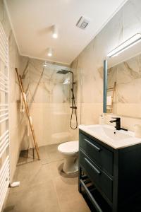 布拉日Liziera Blaj的一间带水槽、卫生间和淋浴的浴室