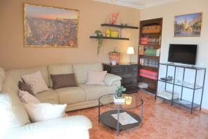 塞维利亚El Apartamento de Trini的带沙发和电视的客厅