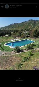 库里科Estancia Don Domingo的田野上的大型蓝色游泳池