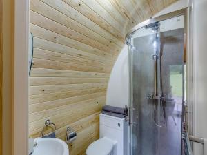 Llanfair CaereinionElm-uk36259的一间带卫生间和淋浴的浴室