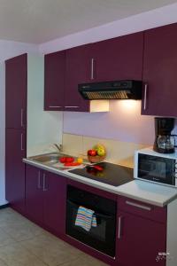勒阿弗尔塞纳海湾公寓酒店的紫色的厨房配有水槽和微波炉