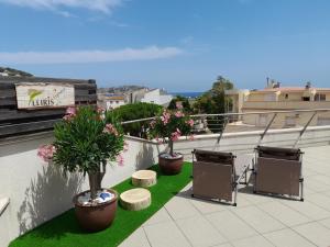 埃斯塔蒂特Apartamento Lliris Atico的屋顶上种植了三株盆栽植物的阳台