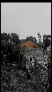 阿尔莎法كوخ البيلسان的花园中房子的黑白照片
