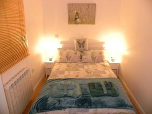 Saint DominickOakey Orchard - cosy apartment in Tamar Valley, Cornwall的一间卧室配有一张大床和两盏灯