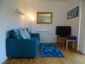 Saint DominickOakey Orchard - cosy apartment in Tamar Valley, Cornwall的客厅配有蓝色的沙发和电视