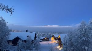 布鲁克斯瓦拉那Bruksvallarna - Modern fjällstuga med panoramautsikt och WiFi的雪中小屋,晚上有灯