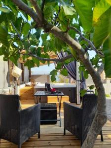 BouyonL'antre deux Pierres, suite de charme, romantisme, jacuzzi privé, braséro的庭院设有两把椅子和一张桌子,还有一棵树