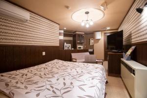 名古屋ファインリゾート的一间卧室配有一张床和一台平面电视
