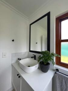普利登堡湾Lux apartment Plett的浴室设有水槽、镜子和植物