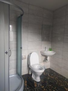 波尔塔瓦Нова квартира的一间带卫生间和水槽的浴室