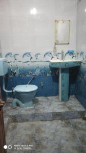 布什格尔Savitri Palace的浴室设有卫生间和水槽,墙上有鸟类。