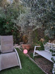 马赛Chambre d hôtes AU CŒUR DES OLIVIERS的公园长凳旁的粉红色飞盘
