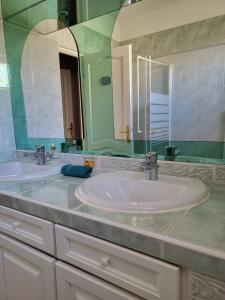 马赛Chambre d hôtes AU CŒUR DES OLIVIERS的一间带两个盥洗盆和大镜子的浴室