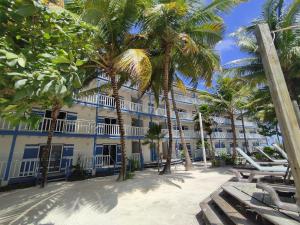 圣佩德罗加勒比别墅酒店的棕榈树和椅子的海滩上酒店