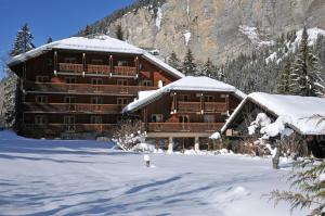 莫尔济讷Hotel Les Lans的一座大木结构建筑,地面上积雪