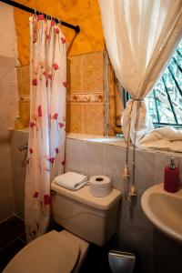 杰里科Chalet Ecoturismo La Nohelia的一间带卫生间和淋浴帘的浴室