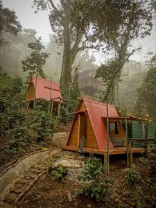 米卡ECO Cabin - TANOA Minca的森林中一座红色屋顶的小房子